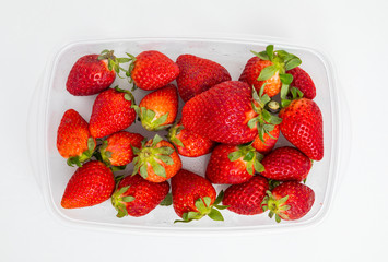 burs in a plastic container