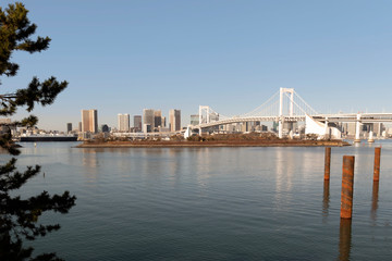Obraz premium Tokyo skyline and bridge