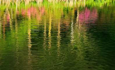 Colorful water wave reflection at lake