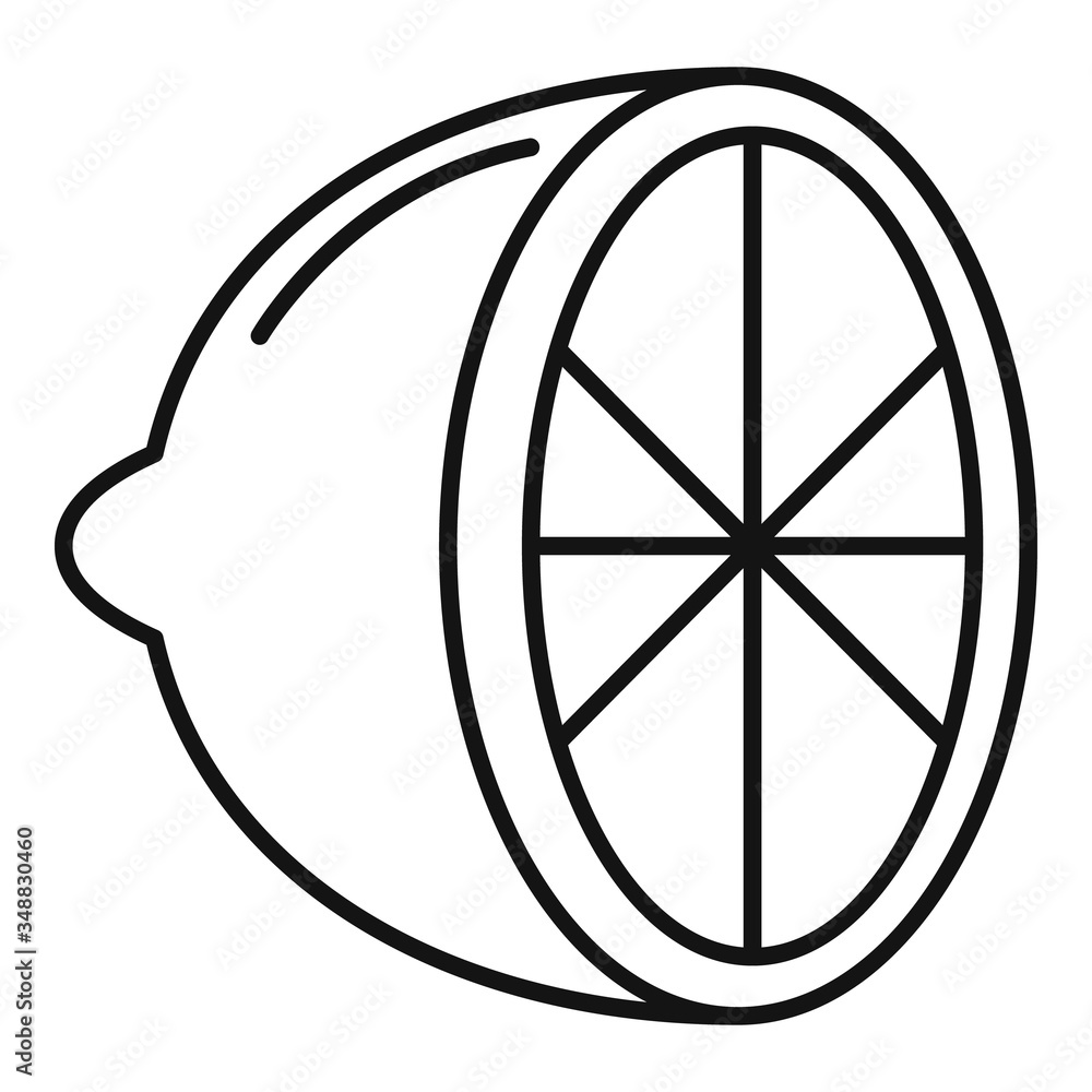 Poster half lime icon. outline half lime vector icon for web design isolated on white background