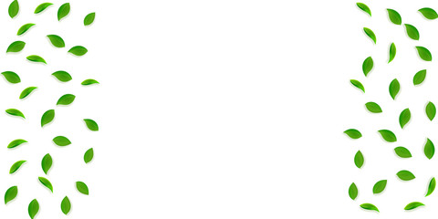 Falling green leaves. Fresh tea random leaves flyi