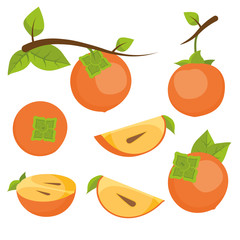 Ripe orange persimmons.Vector seamless pattern of ripe juicy fruits and persimmon leaves. 