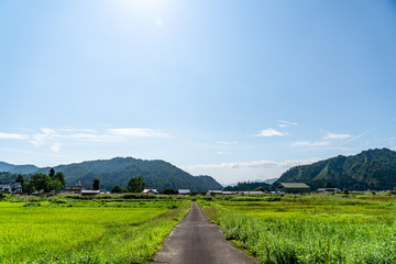 Obraz premium 【ふるさとイメージ】夏の只見駅付近の風景