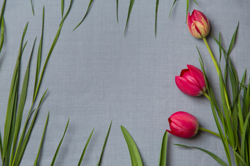 spring flowers lie on a gray cloth in the form of a frame