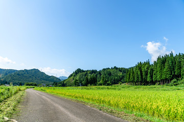 【ふるさとイメージ】夏の只見駅付近の風景