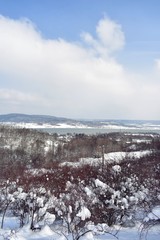 Obraz premium frozen lake in winter season close to the village with forest reflecting in water