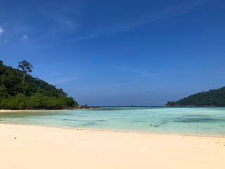 Fototapeta na wymiar tropical beach with coconut trees
