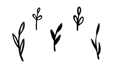 Hand drawn marker illustration of plant branches set. Collection of floral design elements. Spring and summer symbol. Contour otline drawing of simple black twig