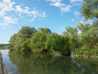 lake reflecting green forest close to the woods in summer season on sunny day with blue sky