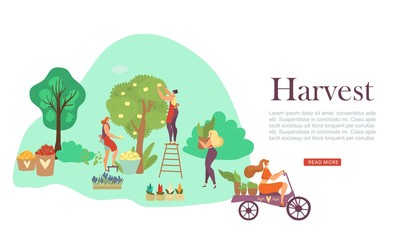 Autumn harvesting people, fruit trees and basket of ripe apples in farm landscape flat vector illustration. Farmers in fall tree garden with harvest. Crop season scenes of harvesters web banner.