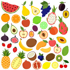 Collection various fruits and berries. Doodle fruits. Natural tropical fruit, doodles citrus orange and vitamin lemon. Vegan kitchen 