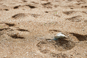 Used medical protective mask for coronavirus picked up by the beach sand. Concept of environmental problems arising from the epidemic of the coronavirus COVID 19.