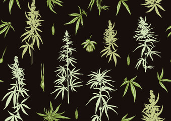 Hemp, Cannabis seamless pattern, background. Vector illustration. Colored and silhouette design isolated on black background..