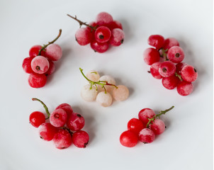 Red and white berry on a white background.