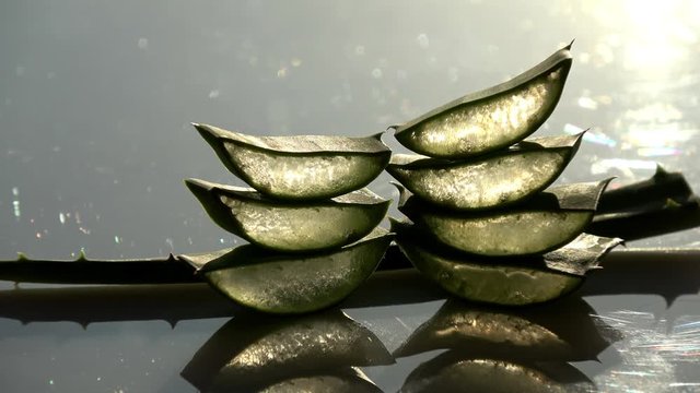 geschnittenes Aloe Vera liegt auf einem spiegelnden Untergrund mit Sonne im Hintergrund