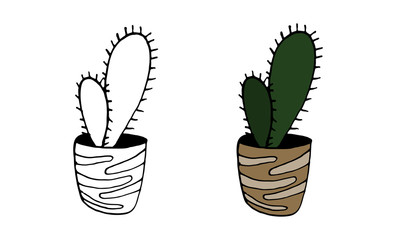 Vector hand drawn illustration of cactus. Green houseplant in the pot. Home interior decoration. Gardening plant