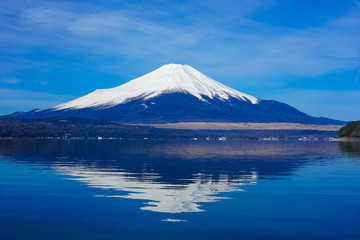 山中湖の湖畔から富士山（逆さ富士）