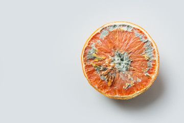 Ugly half orange with mold on grey light background. . Close up, isolated. Top view. - obrazy, fototapety, plakaty