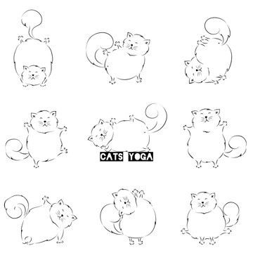 Cats yoga icon set. Cute cats doing yoga poses. Vector illustration isolated on white background.