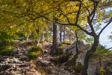Traunsee lake and hiking path to Kleiner Sonnstein rock summit, Ebensee, Upper Austria.