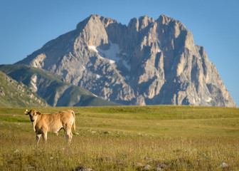 Corno Grande, Gran Sasso