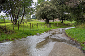 Water flows along the rural country road after the rain. Basque Country, Spain. Camino de Santiago. Hiking and traveling concept.