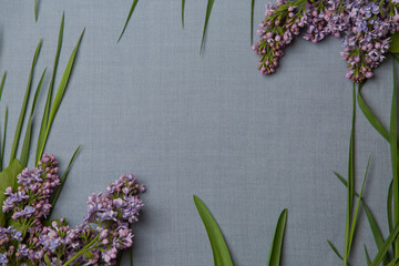 lilac flowers and green grass lie on a gray canvas in the form of a frame