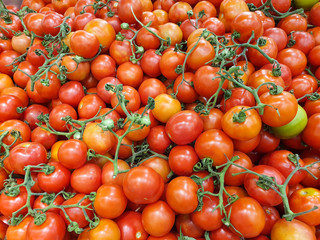 tomatoes in the market
