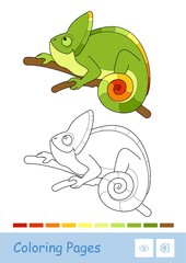 Colorful template and colorless contour image of cute chameleon sitting on the branch isolated on white background.
