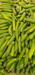 fresh cucumbers in the market