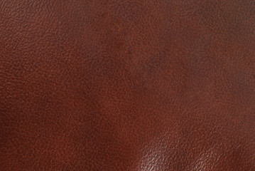 Fototapeta premium Natural leather structure material abstract texture background