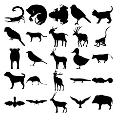 Set of 25 animals. Scorpion, Thylacine, Frog, Kitten, Parrot, Cougar, Sheep, Monkey, Sparrow, Duck, Cow, Dog, Shrew, Deer, Lizard, Chameleon, Goshawk, Bat, Antilope, Bird, Boar.