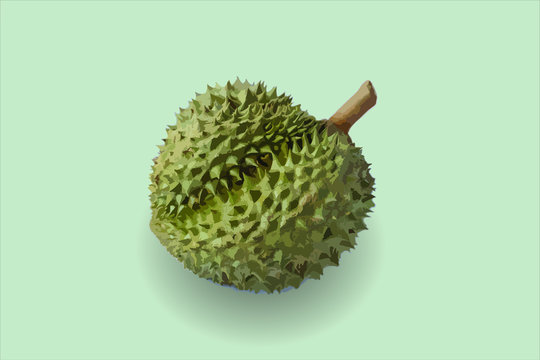 durian isolated on green background