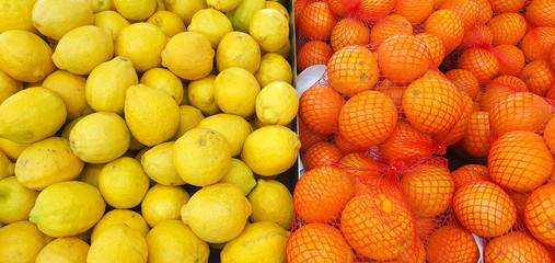 lemons and Oranges in the market yellow and red 