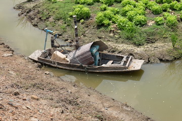 Small wooden boat for watering vegetable plots, farmer wisdom