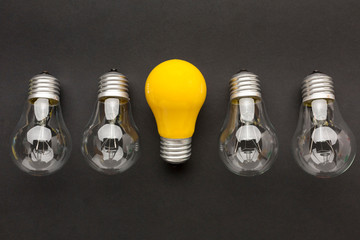 Top view light bulb collection. Outstanding, choice and difference concept. Being unique and...