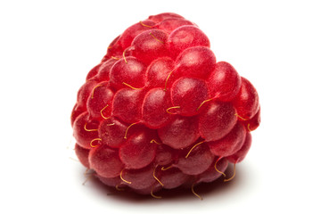 raspberry isolated on white background