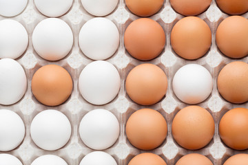 Eggs aligned in carton. Outstanding, choice and difference concept. Being unique and individuality.