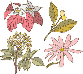 Delicate hand drawn spring flowers, isolated vector illustrations