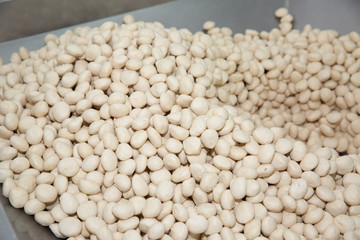 Many pork balls are in a stainless steel basin.