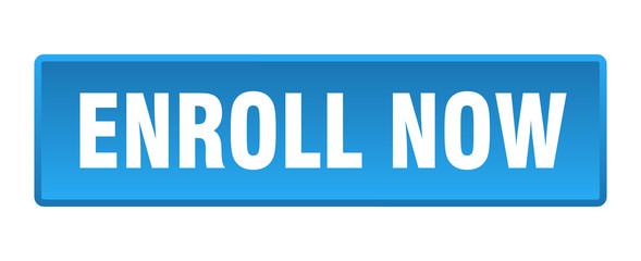 enroll now button. enroll now square blue push button