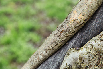Fototapeta na wymiar Cracked bark of an old tree natural gardening background