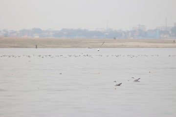 The Holy City of Varanasi, India