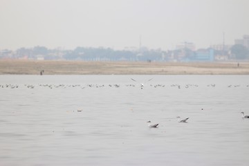The Holy City of Varanasi, India