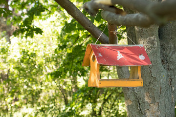 Bird feeder, bird house weighs on tree, summer nature