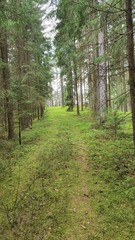 Fototapeta premium Berge Stein Natur 