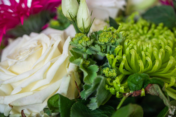 A closeup view of a bouquet with white roses, pink aster alpinus, and green spider mum flowers