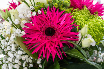 A closeup view of a bouquet with white roses, pink aster alpinus, and green spider mum flowers