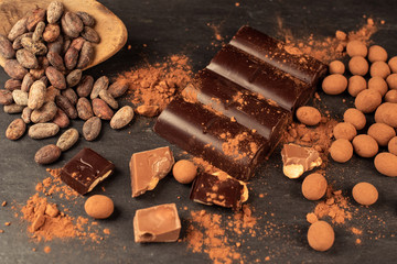 chocolates, cocoa beans, milk chocolate, dark chocolate, chocolate bar, cocoa powder on slate table