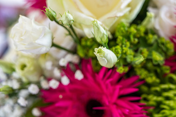 A closeup view of a bouquet with white roses, pink aster alpinus, and green spider mum flowers